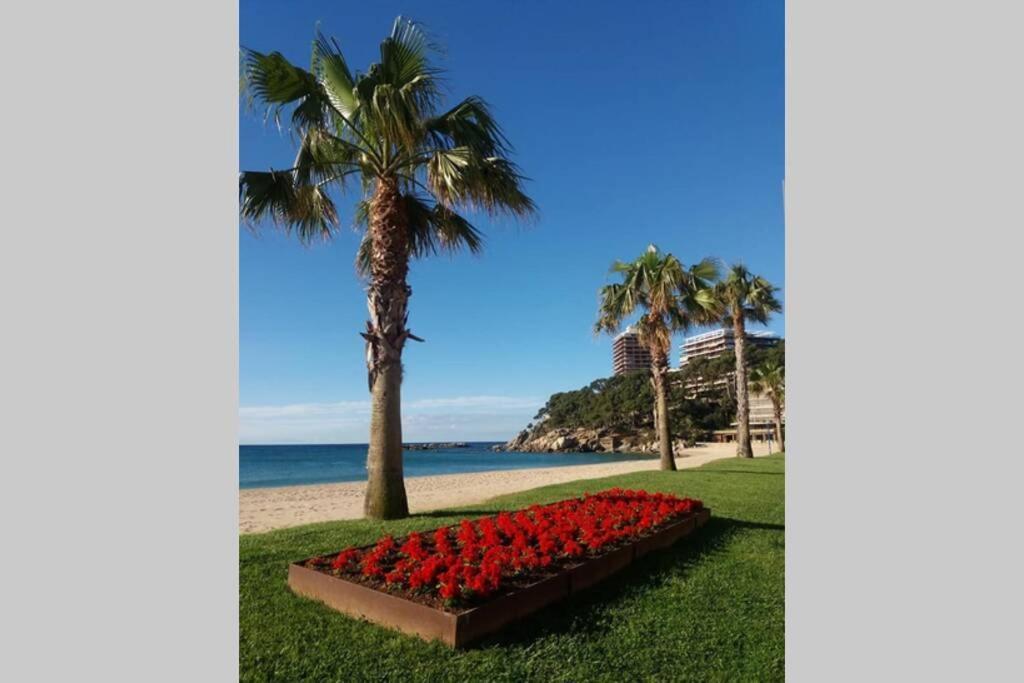 Costa Brava-St Antoni De Calonge Apartament Per Parelles I Families Petites Exteriör bild